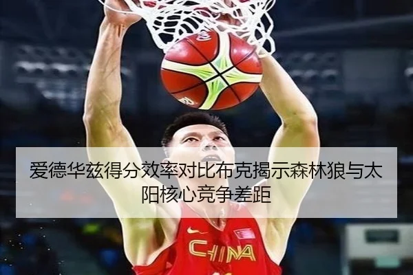 爱德华兹得分效率对比布克揭示森林狼与太阳核心竞争差距